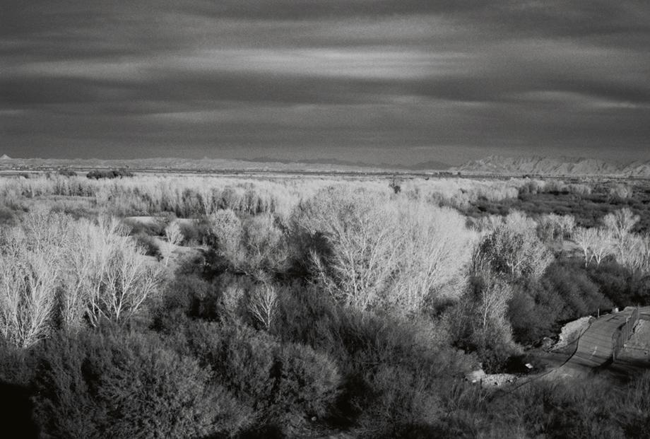 Yuma, AZ landscape